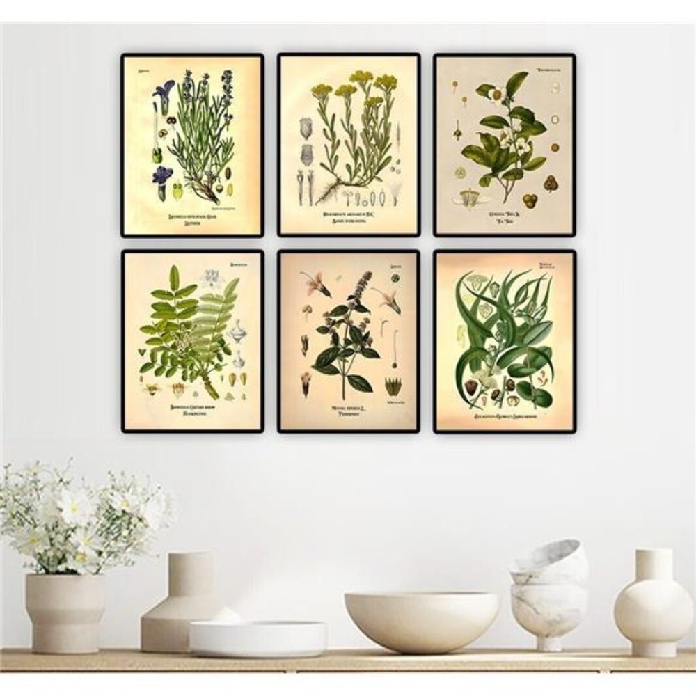 Vintage Botanical Essential Oils Plant Floral Herbal Print Wall Art Set of 6